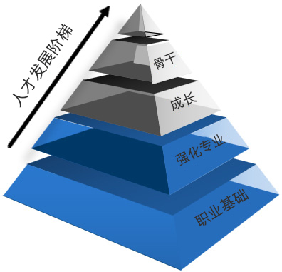 �˲������辶